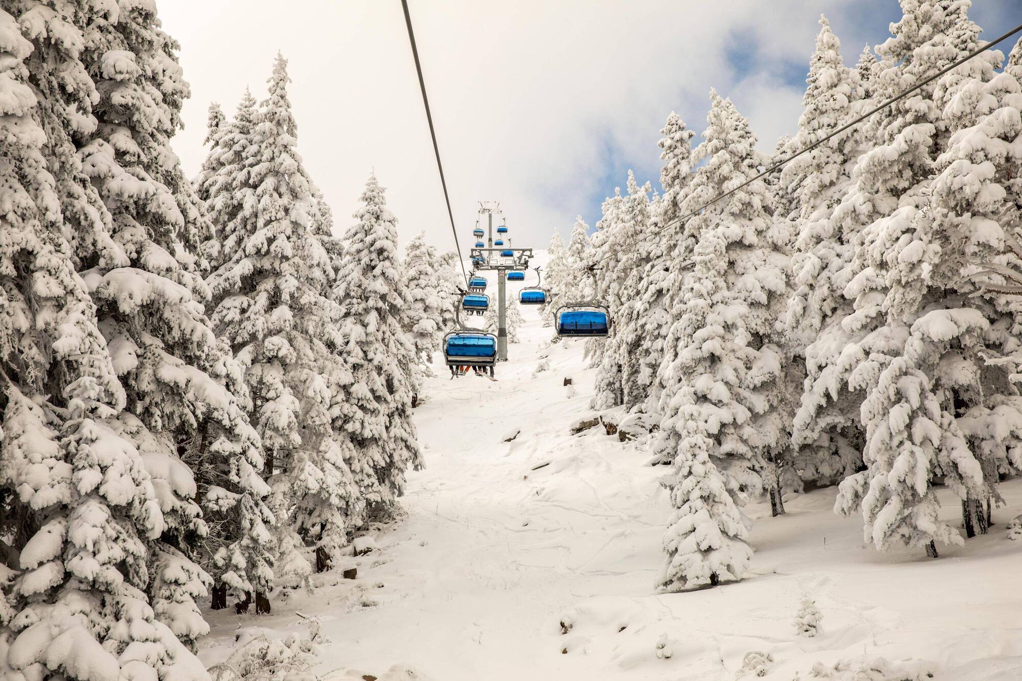 Dorukkaya Ski & Mountain Resort Bolu Exterior foto